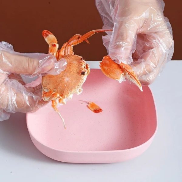 10 pcs Multi-function Elliptical Spit Bone Plate Set